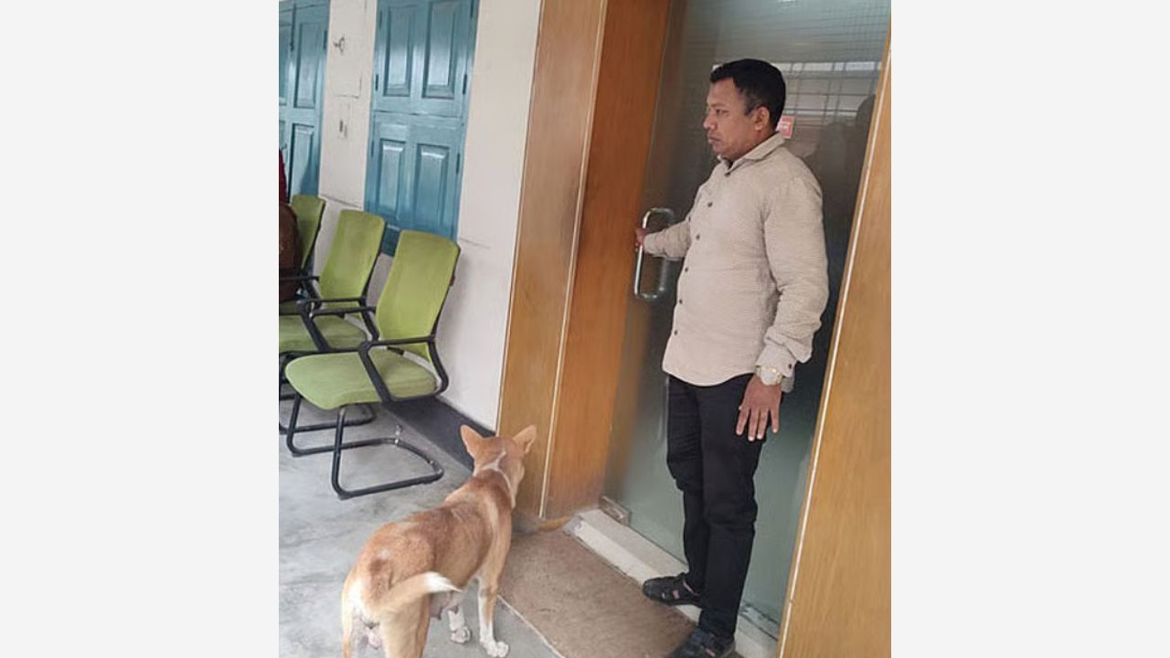 ৮ কুকুরছানা হত্যা: অভিযুক্ত কর্মকর্তাকে সরকারি বাসা ছাড়ার নির্দেশ